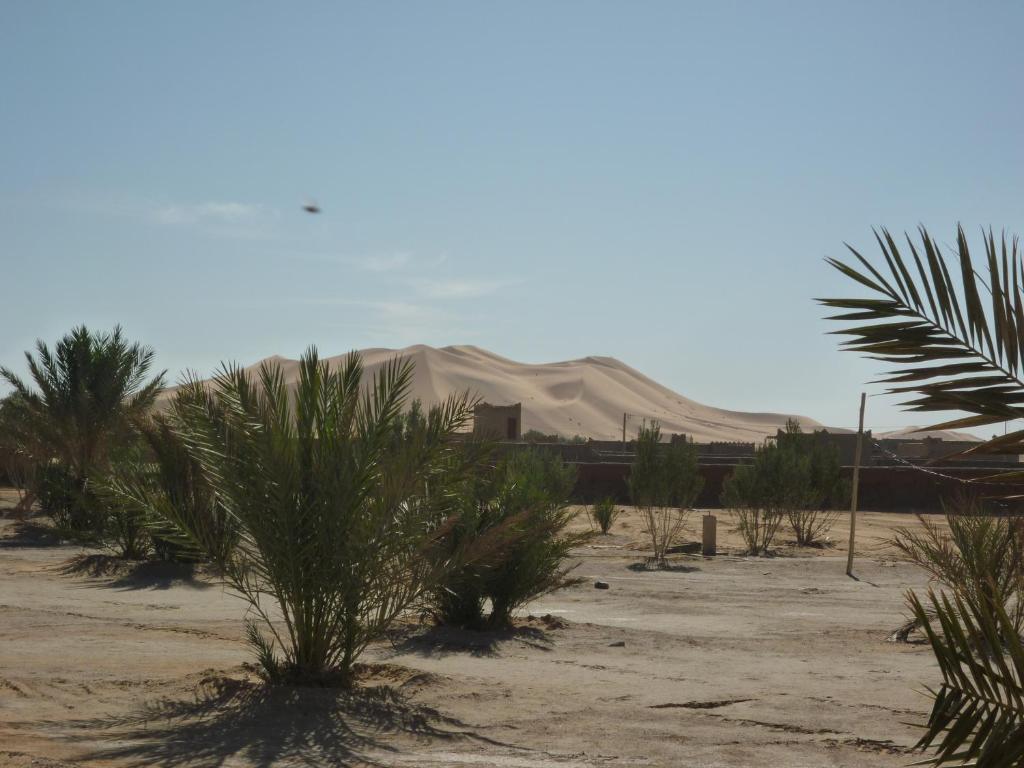Auberge Africa Merzouga Extérieur photo