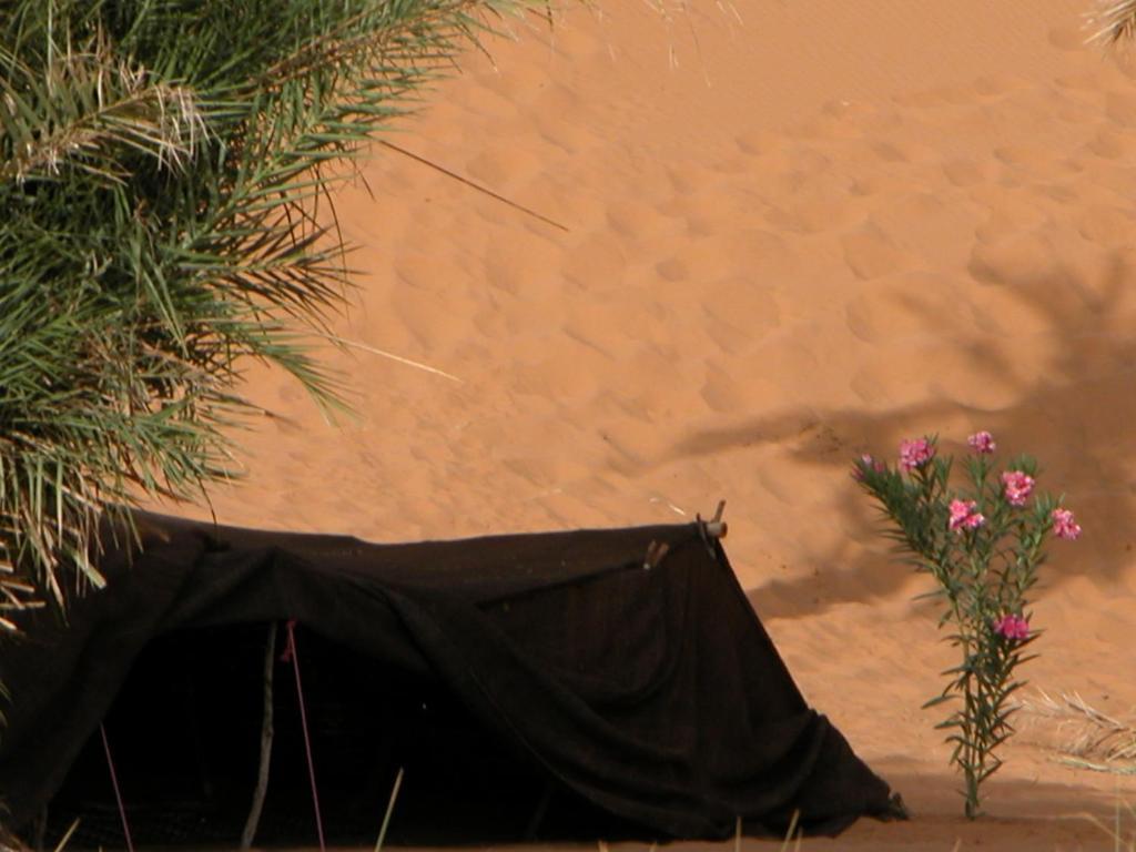 Auberge Africa Merzouga Chambre photo