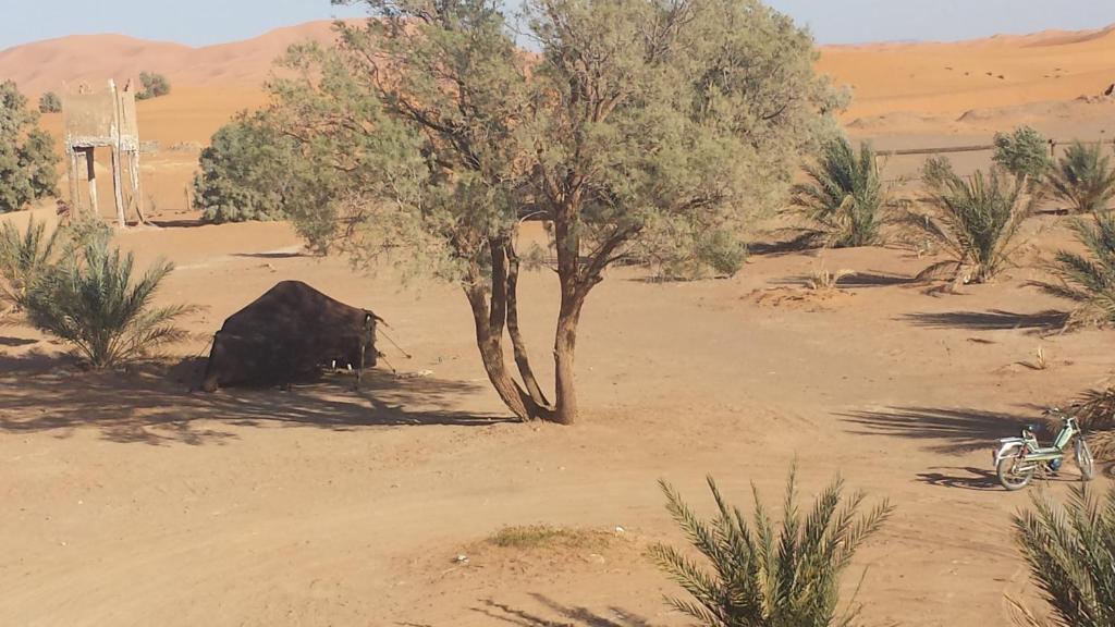 Auberge Africa Merzouga Extérieur photo