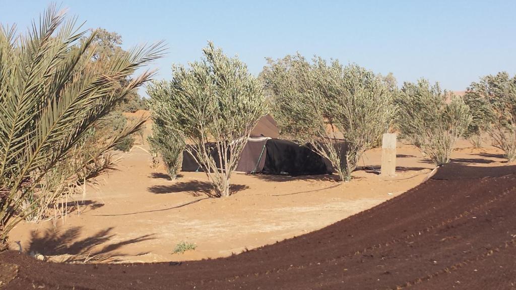 Auberge Africa Merzouga Chambre photo