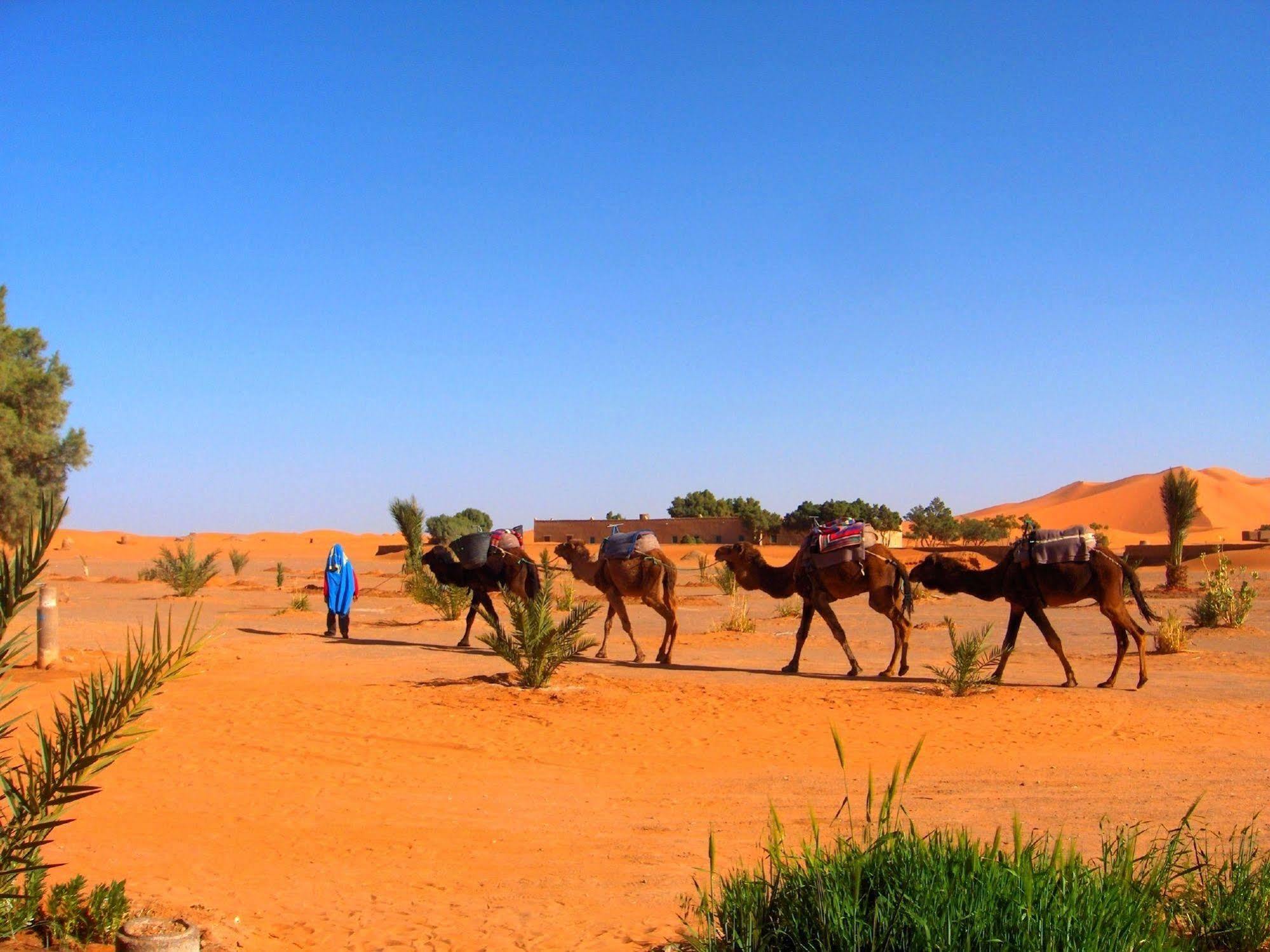 Auberge Africa Merzouga Extérieur photo